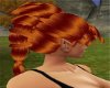 [AB]Red Back Round Hair
