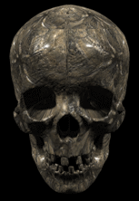 Skull 4