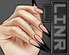 Nail  French Fiberglass