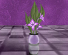 Lilac Reflect Plant