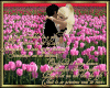 cuddle in the tulips