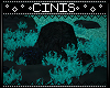 CIN| Waterfall Fern rock