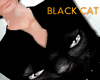 BLACK CAT MINI DRESS .