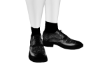 Gators