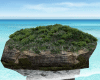 Salty Island Rock