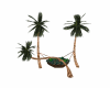 palm tree relax