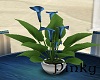 Bonsai Wedding Plant
