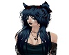 Cabello de loba azul