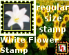 Reg. white lily stamp