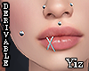 Piercing Set Z Drv