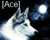 [Ace] Wolf Pillow