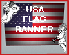USA FLAG BANNER