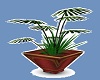 [MS] Exotic Plant 1