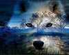 Blue Night Wolf