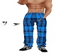Plaid 3