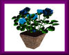 Flower*Roses Pot* blue