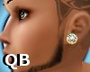 Q~L* Diamond Earrings 2