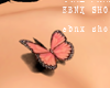 Chest. 3D Butterfly