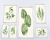 botanical art v3