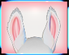 Grace Ears V.1