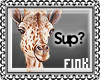 F! Sup Giraffe