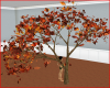 Autumn Tree 2