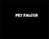 Pet Falcon