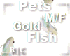 R|C Gold Fish Rainbow MF