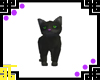 [TBG] black cat pet