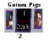 3Pix Frame Of Guinea Pig