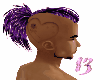 13~Purple Passion Hair