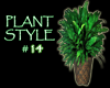 (IKY2) PLANT STYLE #14