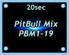 Remix PitBull Mix