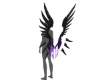 Archangel Wings P