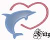 Dolphin love