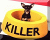 Killer dog
