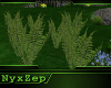 FERN Forest Glade
