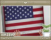 [M] USA Sign
