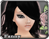 rd| Vintage Fanny