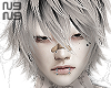 ╋━rein