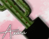 A| Cactus