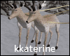 [kk] Reindeer/ Sled