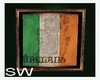 (SW) Irish Flag