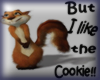 cookie squirell