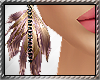 ~Brown Feather Earrings~