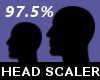 AC| Head Scaler 97.5%