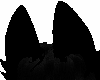 Black ears