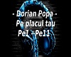 Dorian Popa-Pe placul ta