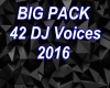BIG PACK 42 DJ Voices