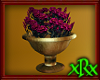 Zinnia Planter